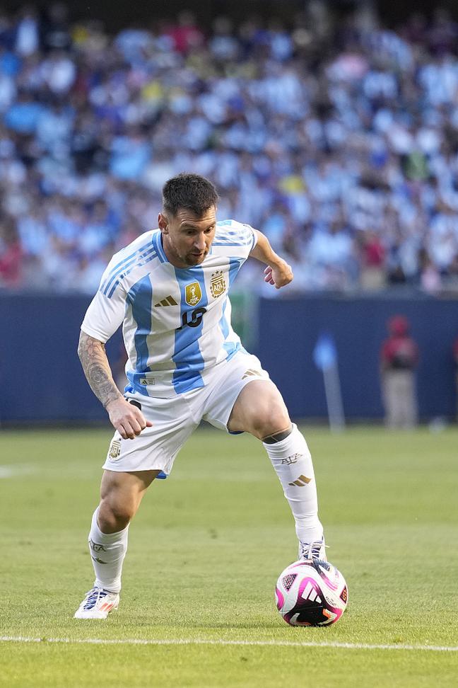 西班牙人举办“鹦鹉不离弃”活动，用待领养狗狗组成特殊阵容（西班牙人发起“鹦鹉不离弃”公益活动，用待领养犬组建独特阵容）