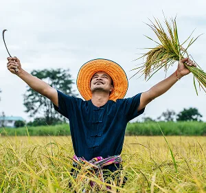 围绕优质内容与服务，开云持续打磨更优质的服务。 Updates - 开云