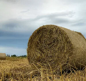 Agri-Tech and Innovation  Updates - 开云