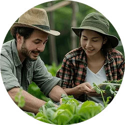 Revolutionizing  the Way Food - 开云
