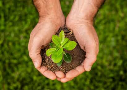 Organic Farming Solutions - 开云