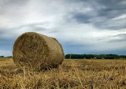 Organic Farming Solutions - 开云
