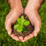Join the Movement to Grow the World - 开云