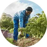 Organic Farming - 开云