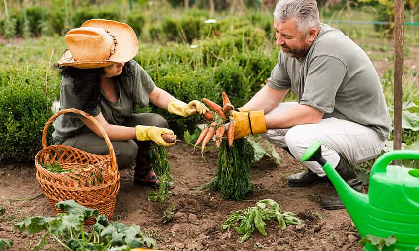 Revolutionizing the Way Food is Grown - 开云